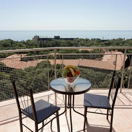 Elena And Wellness Hotel Nisipurile de Aur