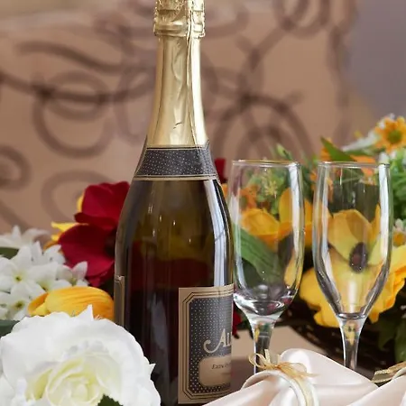 Hotell Elena And Wellness 4*