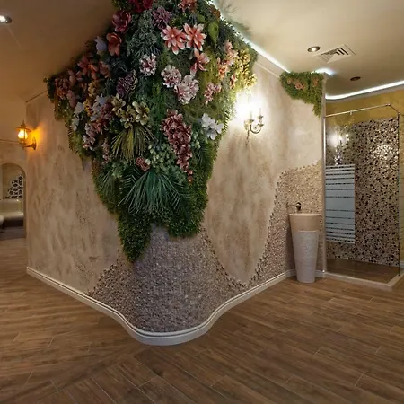 Elena And Wellness 酒店 金沙