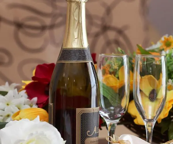 ホテル Elena And Wellness 4*